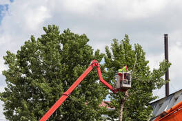 contractor trimming a tree hanging over a home