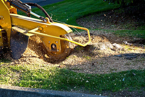 contractor grinding down a stump with a machine 
